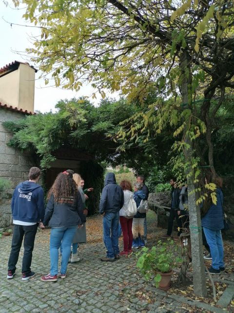 douro-vinho-verde-private-tour