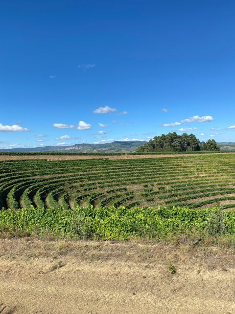 douro-walking-with-full-fancy-lunch-and-premium-wines