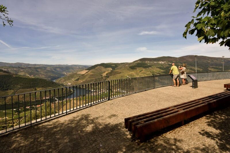 douro-wine-experience-1-day-in-the-douro