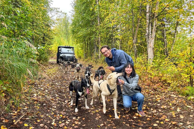 dryland-dog-sled-tour