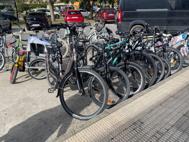 e-bike-tour-through-marbella-puerto-banus-and-san-pedro