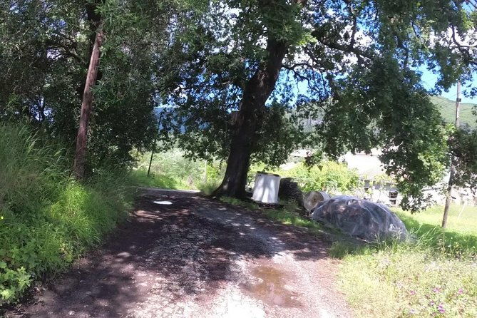 e-mtb-tour-analipsis-area-42km-26mi