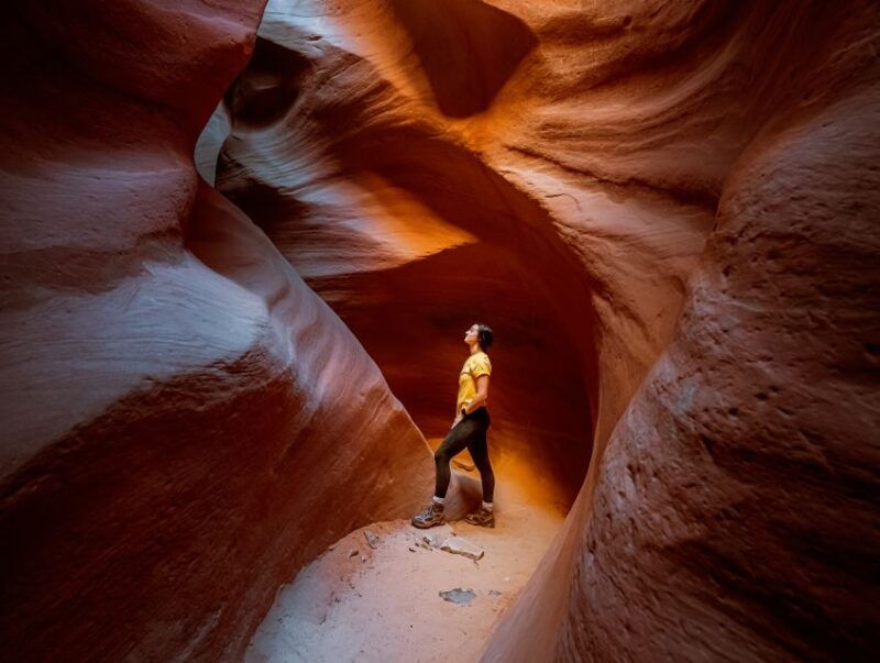 east-zion-crimson-slot-canyon-exploration-and-utv-tour