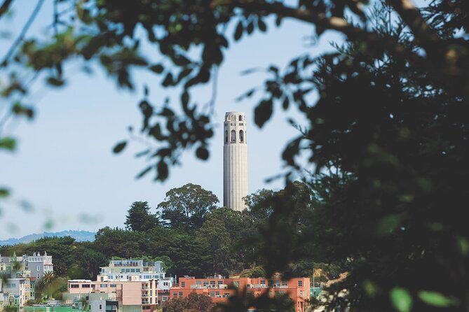easy-access-coit-tower-little-italy-landmark-walking-tour