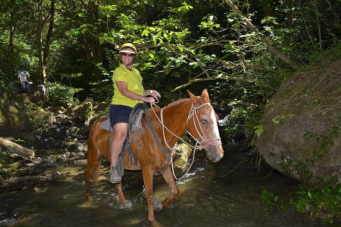eco-adventure-park-premium-day-pass