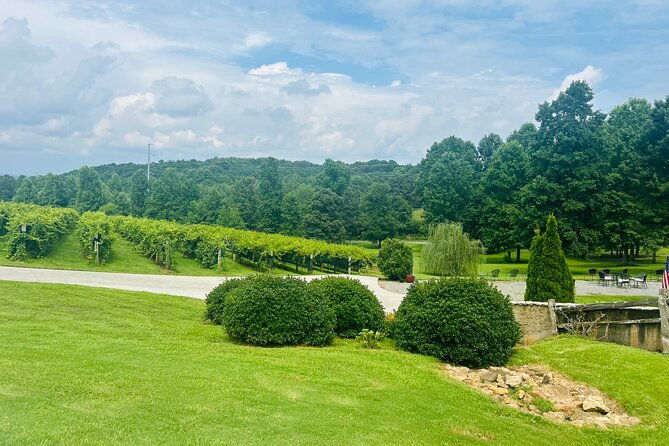 elijay-three-vineyards-private-wine-tasting-tour-from-atlanta