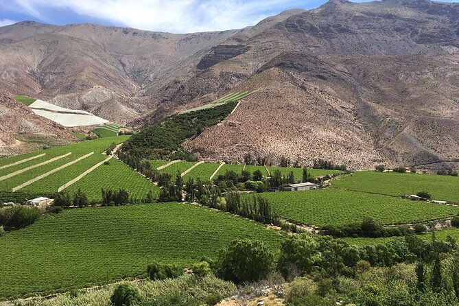 elqui-valley-cruise-excursion-in-coquimbo
