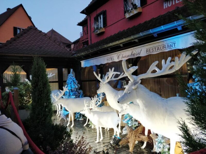 enchanting-christmas-experience-from-colmar