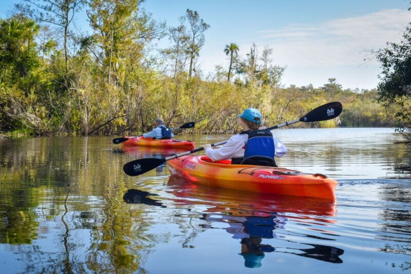 everglades-city-guided-kayaking-tour-of-the-wetlands