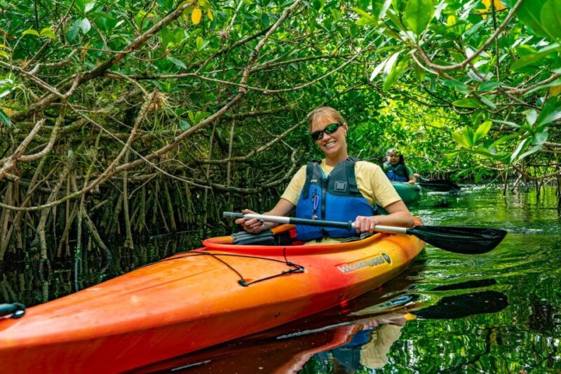 everglades-city-guided-kayaking-tour-with-and-airboat-ride