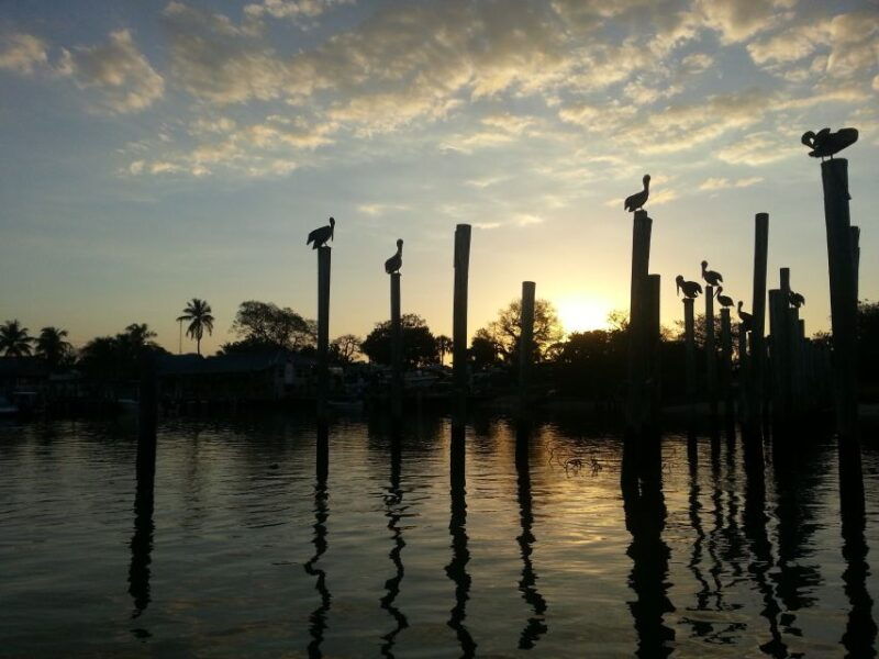 everglades-national-park-motorboat-eco-tour