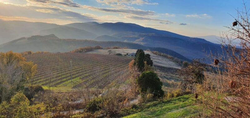 exclusive-assisi-and-sagrantino-di-montefalco-wines