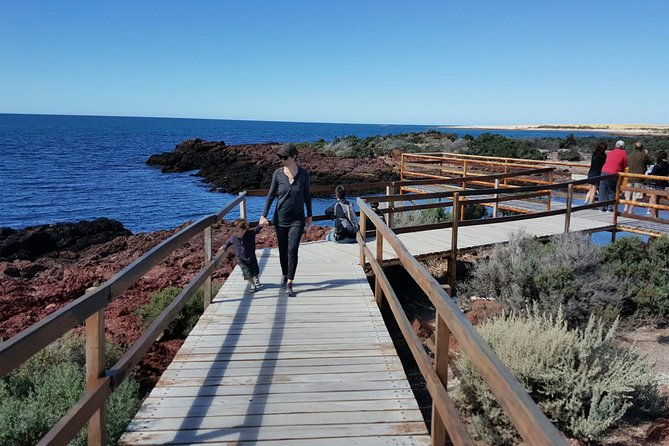 exclusive-punta-tombo-penguins-for-cruise-guests