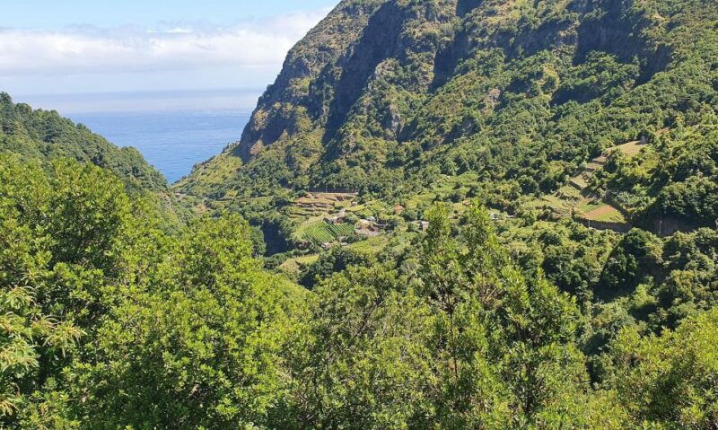 exclusive-wine-tasting-tour-in-the-wine-region-of-boaventura