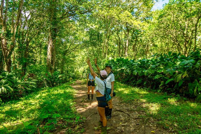 expedition-in-the-jungle-to-the-eco-abandoned-estate-of-punta-mona