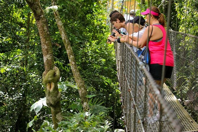 explore-arenal-one-day-tour-mistico-waterfal-lunch-volcano