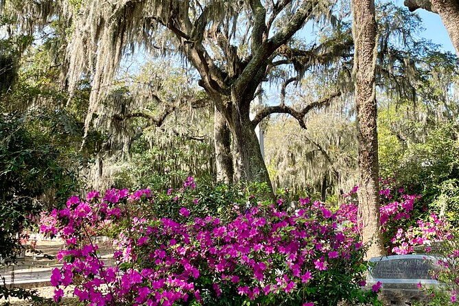 explore-bonaventure-cemetery-with-guided-walking-tour
