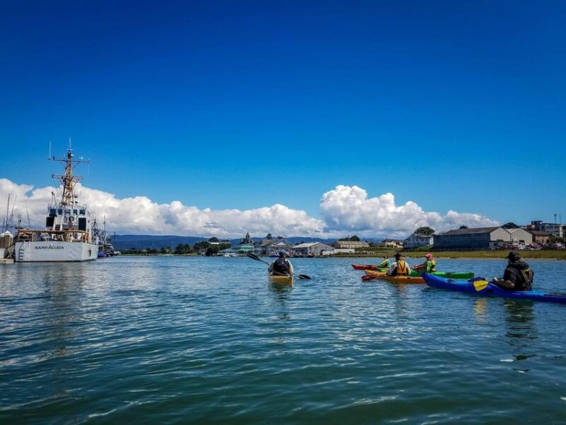 explore-humboldt-bay-by-kayak