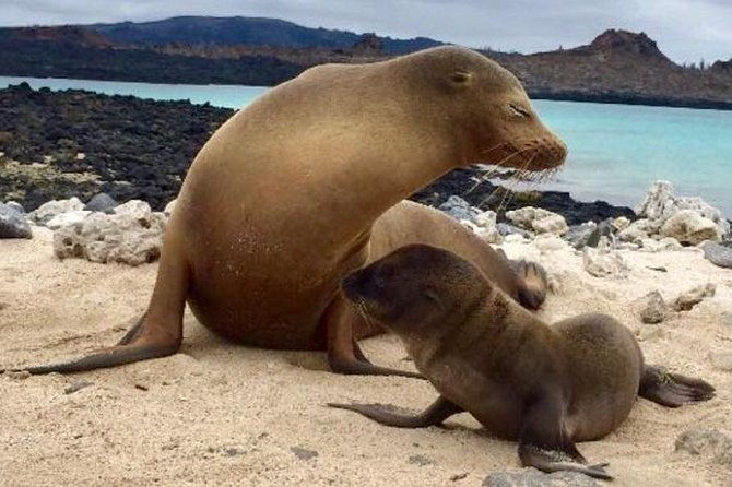 explore-san-cristobal-santa-cruz-galapagos-islands-5-days