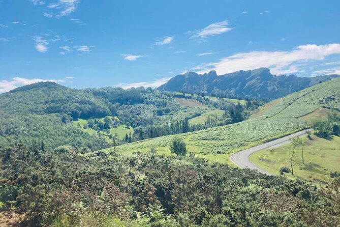 explore-scenic-mountains-and-horseback-riding