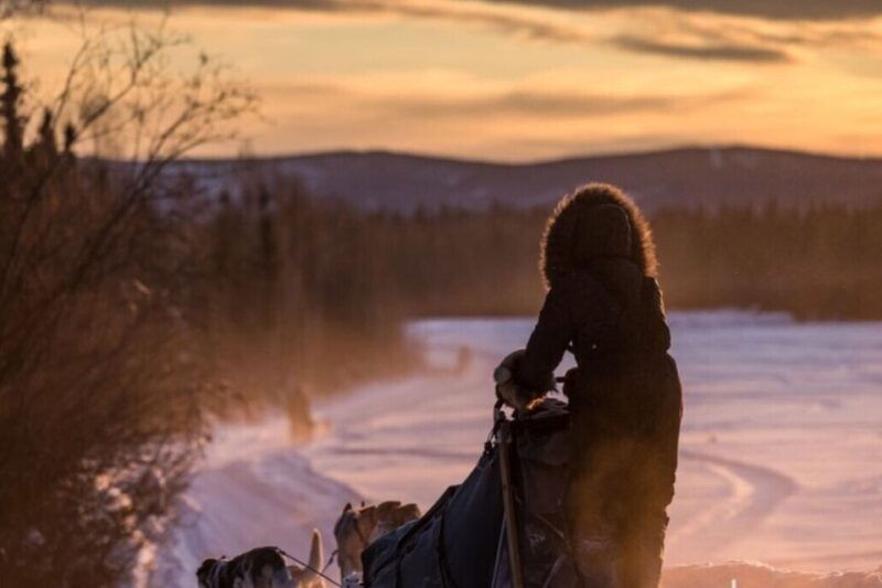 fairbanks-private-mush-on-the-historic-yukon-quest-trail