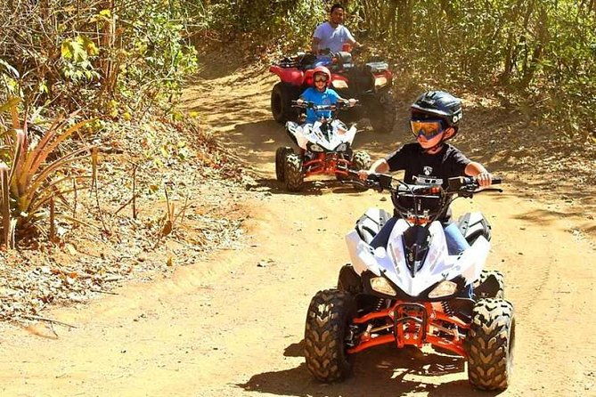 family-fun-four-pack-combo