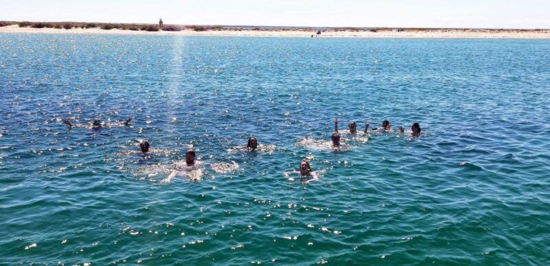faro-come-and-discover-ria-formosa-with-us-in-our-catamaran