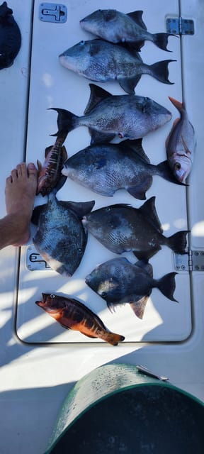 fishing-charter-4h