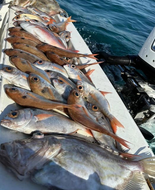 fishing-tour-with-midwater-bolentino-or-rod-technique