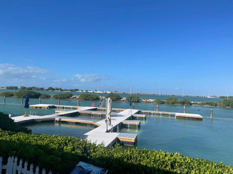 florida-keys-dockside-dolphin-experience