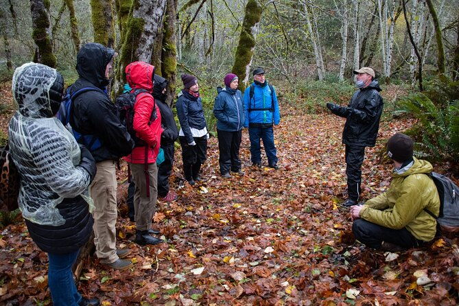 foraging-tour-of-edible-plants-and-mushrooms-in-brinnon
