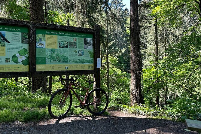 forest-park-carbon-gravel-bike-and-e-bike-tour