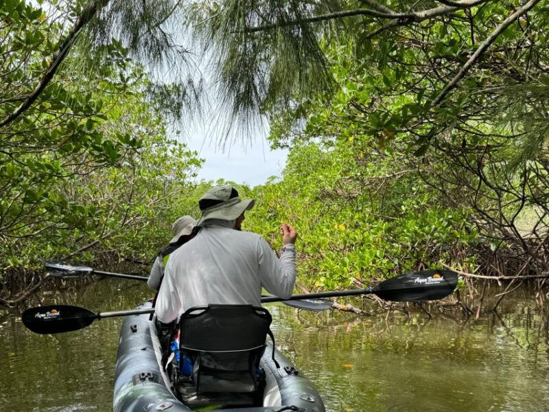 fort-pierce-6-hr-mangroves-coastal-rivers-wildlife-in-fl