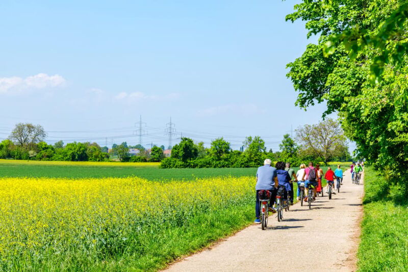 from-amsterdam-countryside-bike-tour-with-cheese-tasting
