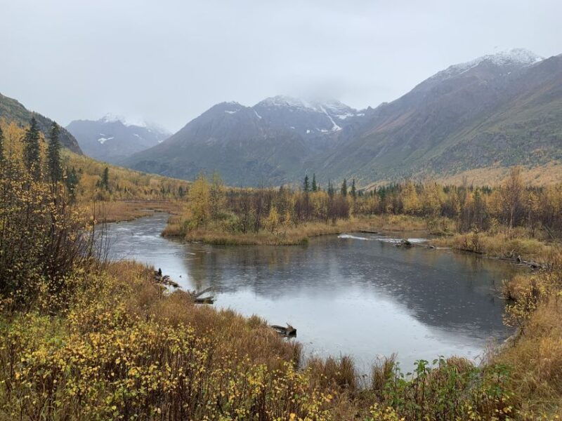 from-anchorage-valley-and-forest-hike-with-naturalist-guide