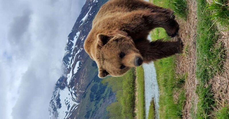 from-anchorage-wilderness-wildlife-glacier-experience