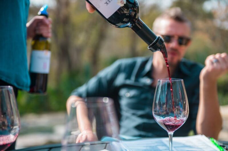 from-austin-half-day-hill-country-wine-shuttle