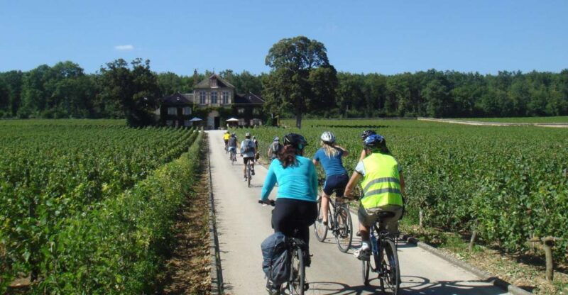 from-beaune-full-day-bicycle-and-wine-tour-in-burgundy