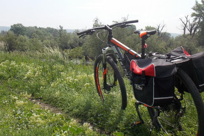 from-belgrade-to-pancevo-into-the-wild