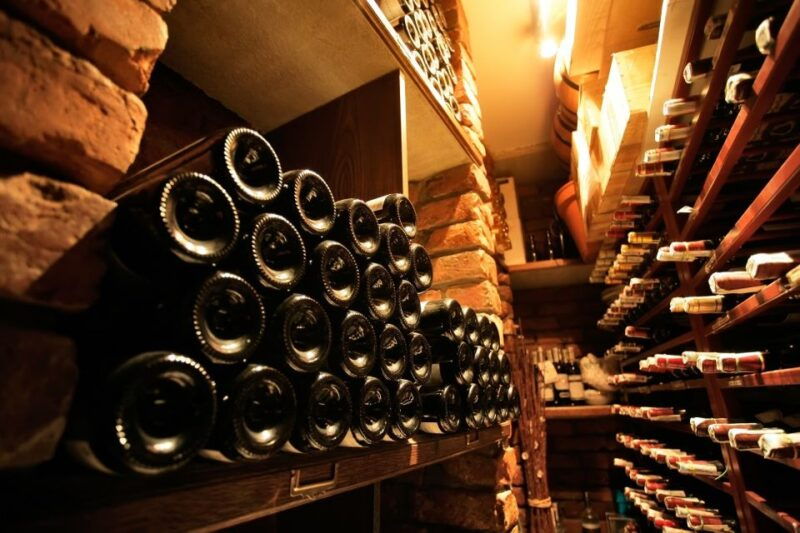 from-bologna-wine-tasting-and-vineyard-tour