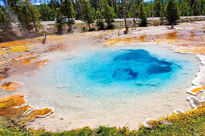 from-bozeman-exclusive-yellowstone-tour-2-days-and-1-night