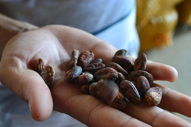 from-cacao-to-chocolate-private-tour-in-manta