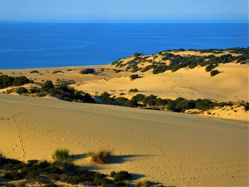 from-cagliari-piscinas-old-mines-and-montevecchio-tour