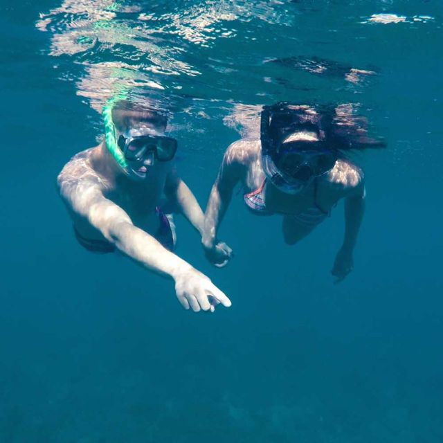 from-cannigione-private-boat-tour-snorkeling-in-tahiti