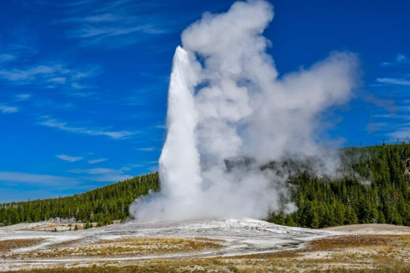 from-cody-full-day-yellowstone-national-park-tour