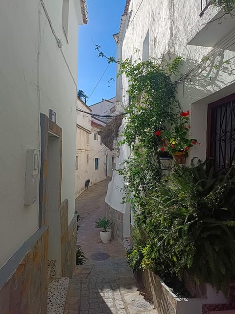 from-costa-del-sol-casares-private-tour