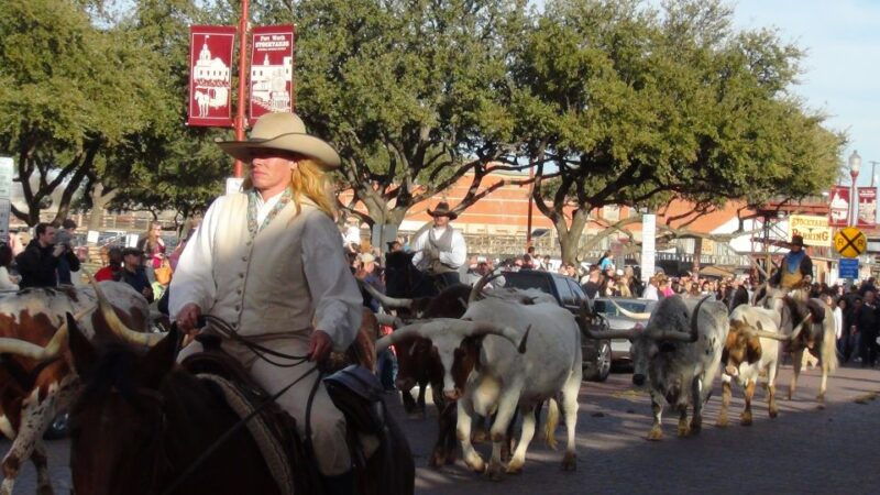from-dallas-fort-worth-guided-day-tour