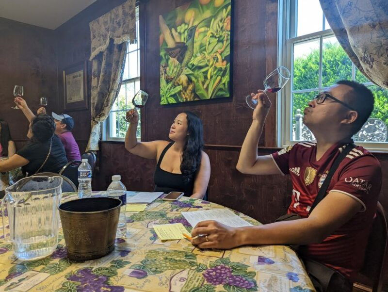 from-dc-premium-virginia-wine-country-tour-with-tastings