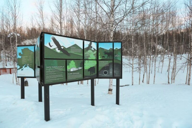 from-fairbanks-arctic-circle-northern-lights-full-day-trip