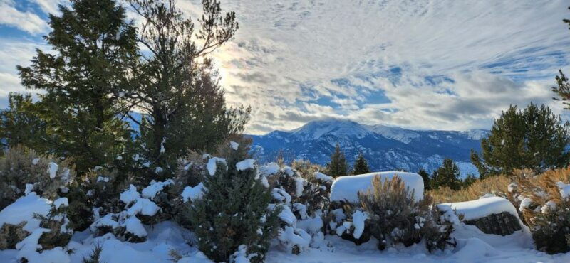 from-gardiner-yellowstone-national-park-snowshoe-tour